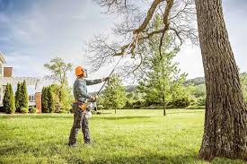 Best Storm Damage Tree Cleanup  in Allentown, PA