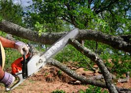 Best Lot and Land Clearing  in Allentown, PA